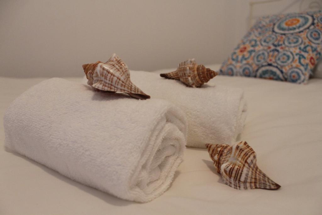 Consolacao Surf & Beach Apartment Eksteriør billede